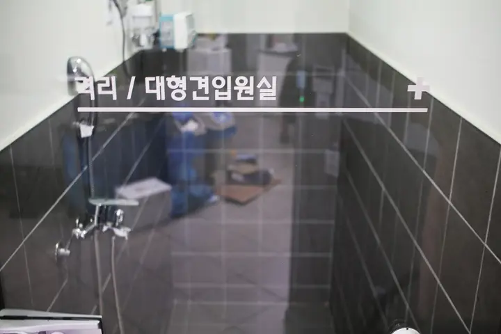 인천 남동구 동물병원 상업공간 사진 11